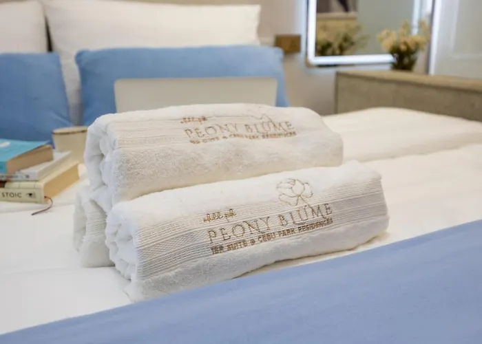 Peony Blueme 1br At Mabolo Near Ayala-it Park